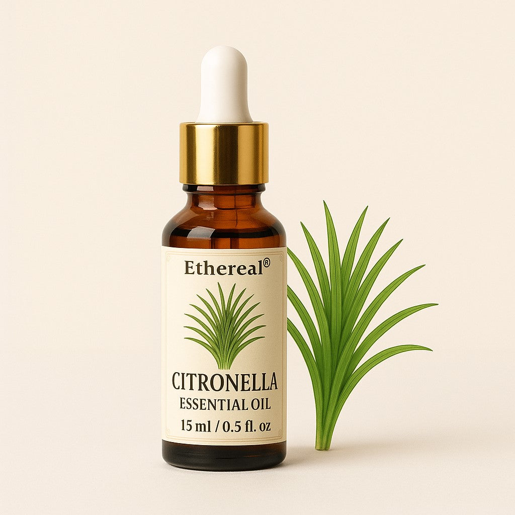 Ethereal Citronella essential oil bottle with dropper and citronella plant leaves on a beige background