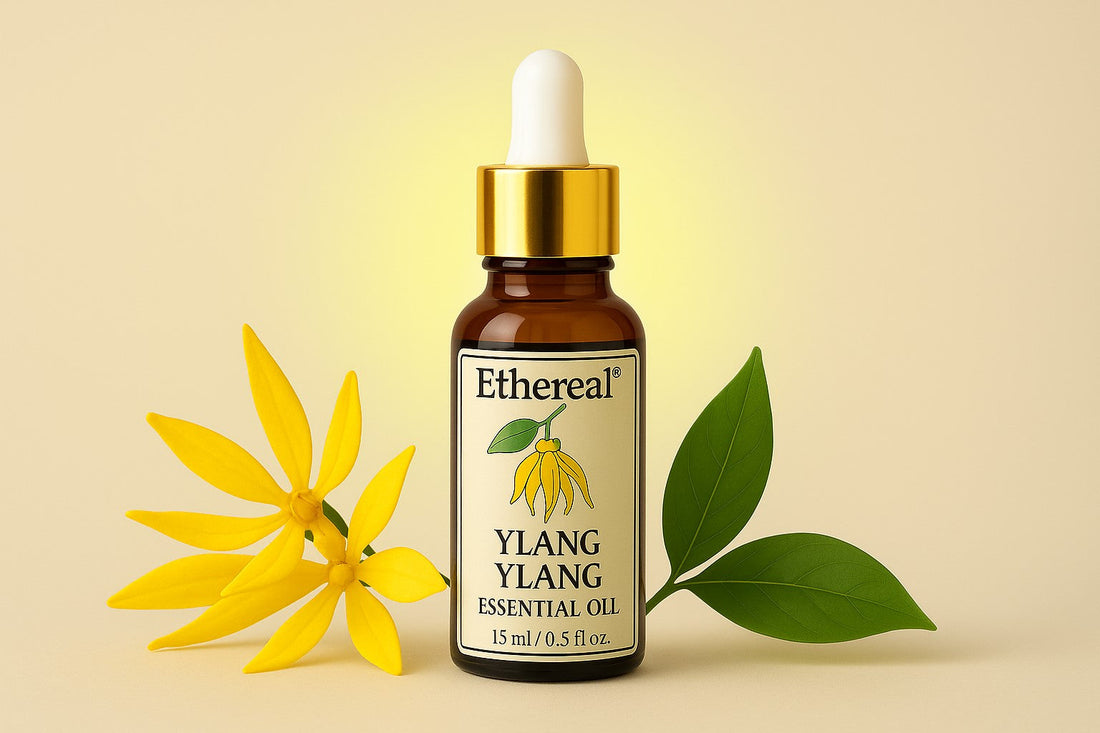 Ylang Ylang essential oil bottle with yellow petals symbolizing heart chakra balance and emotional wellness.