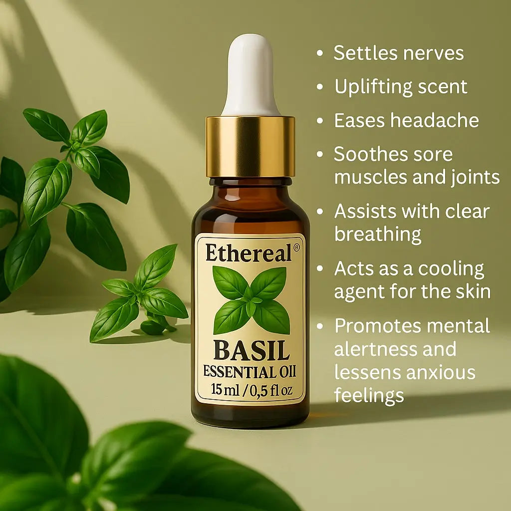 Basil essential oil bottle with dropper on a light green background with basil leaves with benefits.